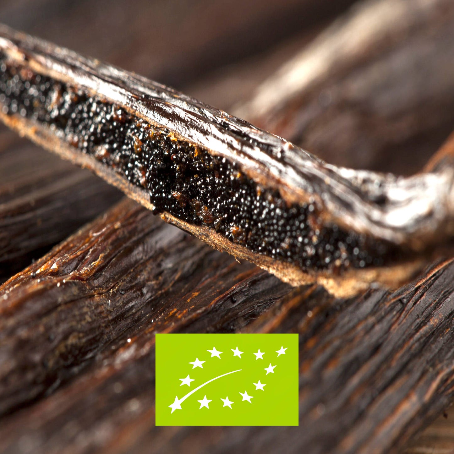 15 Gousses de Vanille Bourbon BIO • Grand Cru de Madagascar