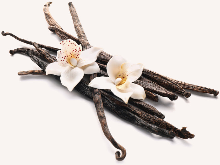 Quels sont les principaux pays producteurs de la vanille?