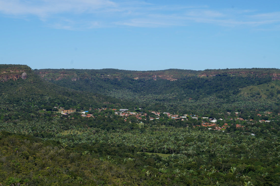 A village nestled amidst lush greenery.