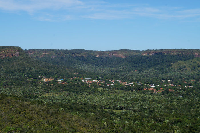 A village nestled amidst lush greenery.