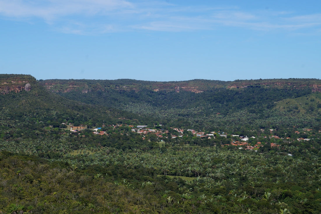 A village nestled amidst lush greenery.
