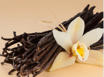 Les mystères à découvrir sur la vanille bleue de la Réunion