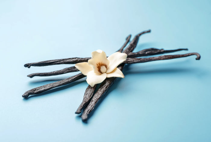 Pourquoi choisir la Vanille de Madagascar?