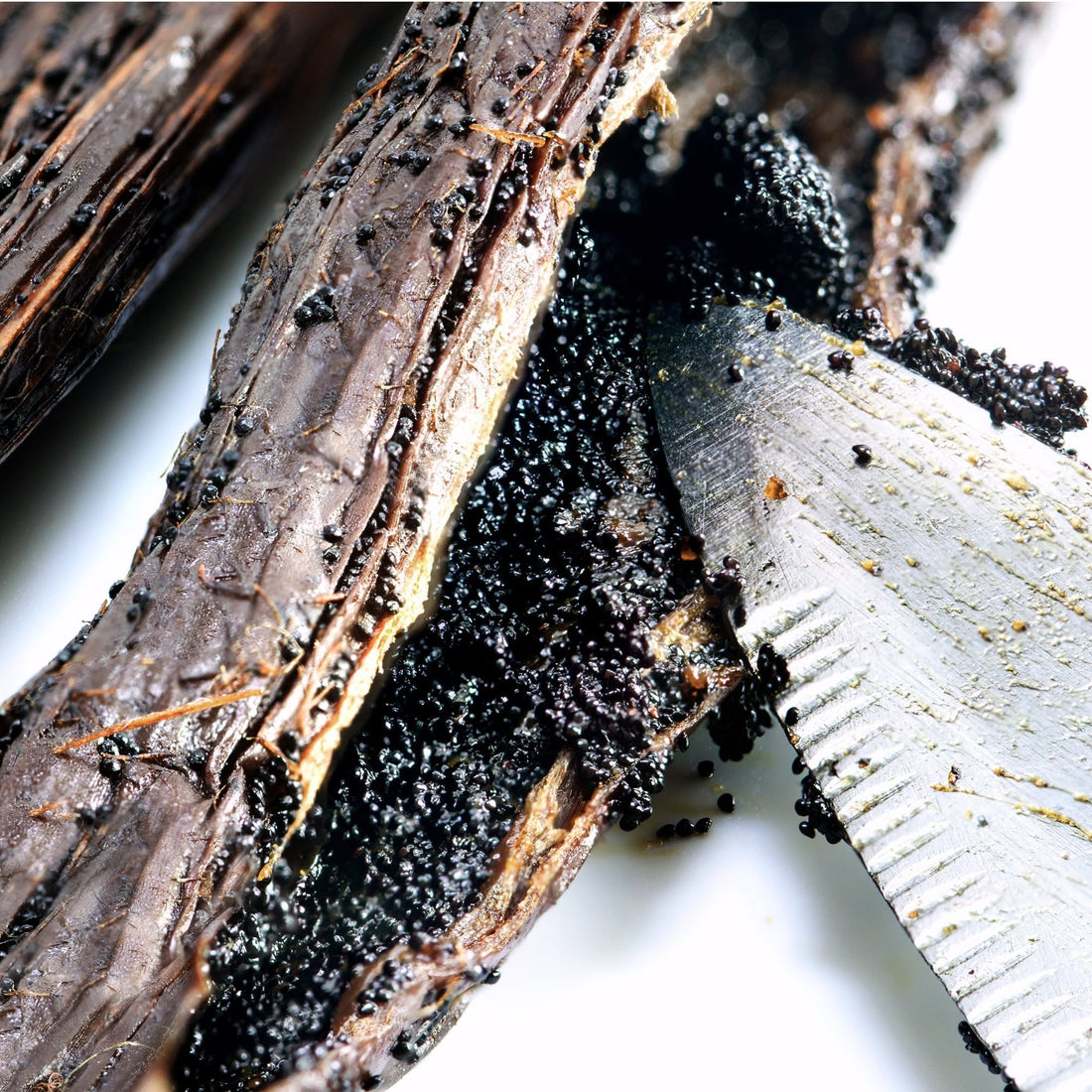 Le guide ultime des prix de la vanille : tout ce que vous devez savoir