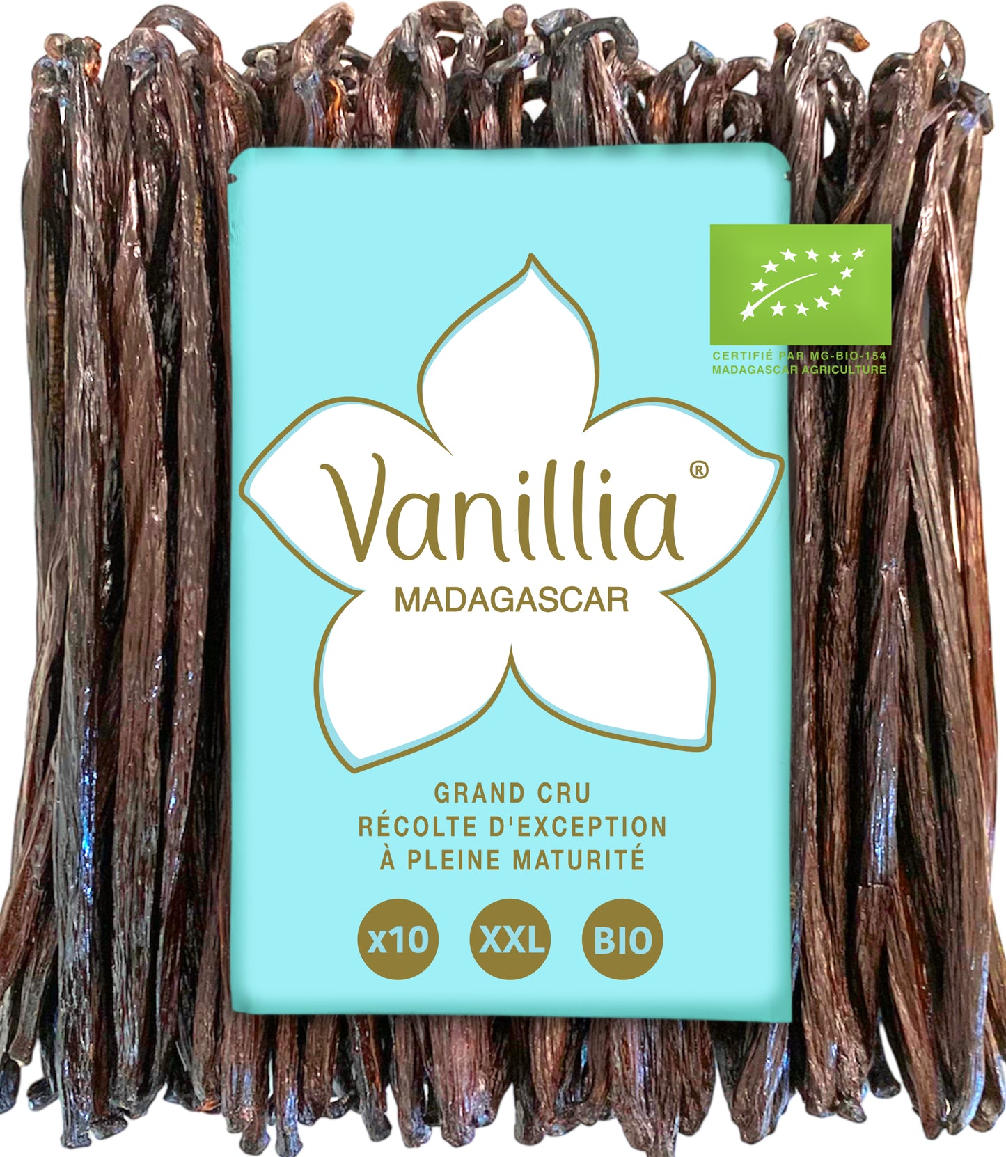 XXL Pods • Organic Bourbon Vanilla • Grand Cru from Madagascar