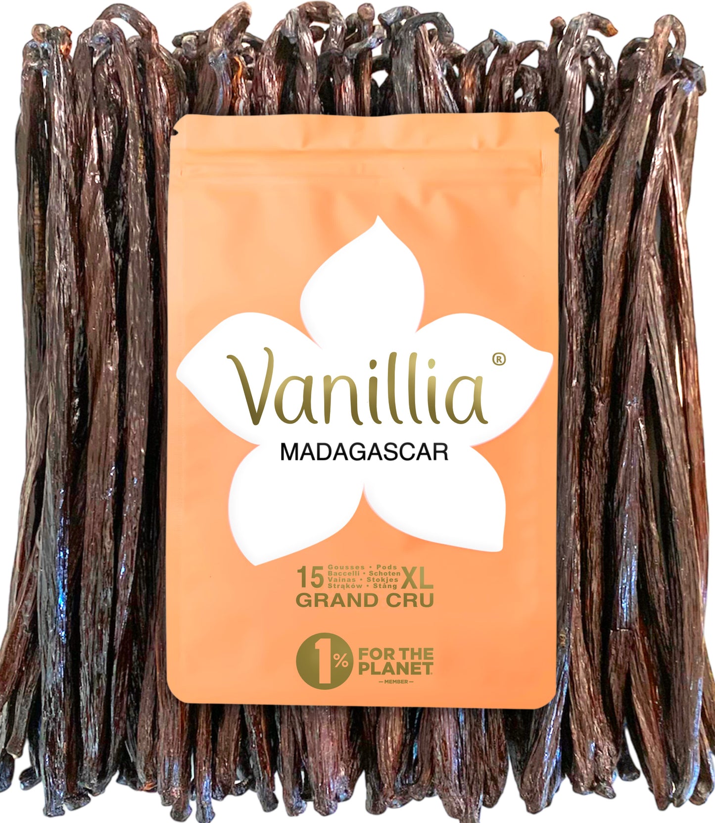 baccelli di vaniglia Bourbon de Madagascar