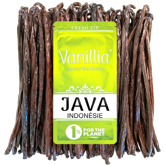 Java-Vanille 15 indonesische Vanilleschoten