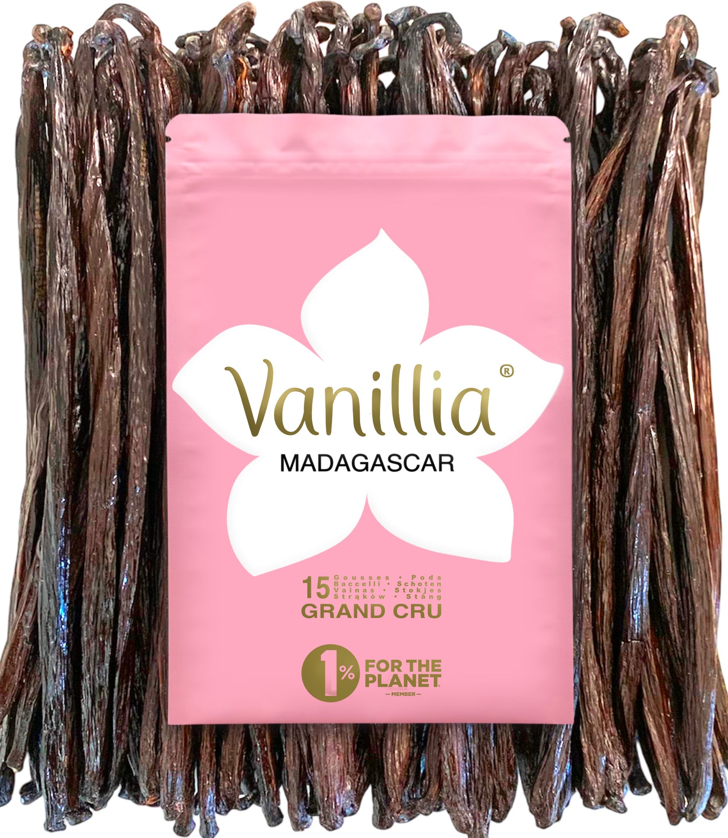 15 Bourbon-Vanilleschoten • Grand Cru aus Madagaskar