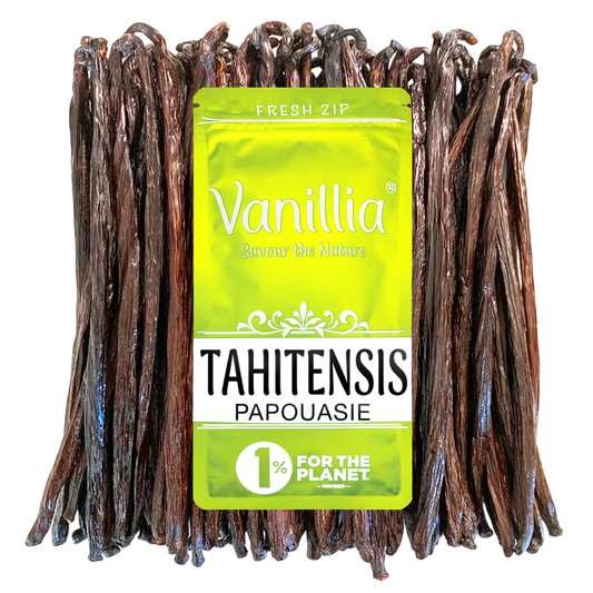 Vanille Tahitensis aus Ozeanien • 12 XL Bohnen